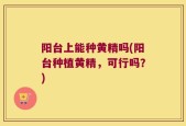 阳台上能种黄精吗(阳台种植黄精，可行吗？)