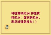 种植黄精药水(种植黄精药水：自家制药水，助您增强免疫力！)