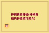 梓桐黄精种植(梓桐黄精的种植技巧简介)