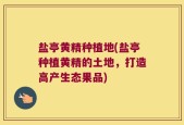 盐亭黄精种植地(盐亭种植黄精的土地，打造高产生态果品)