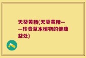 天葵黄精(天葵黄精——珍贵草本植物的健康益处)