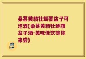 桑葚黄精牡蛎覆盆子可泡酒(桑葚黄精牡蛎覆盆子酒-美味佳饮等你来尝)