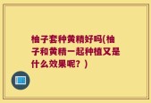 柚子套种黄精好吗(柚子和黄精一起种植又是什么效果呢？)