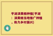 平湖滇黄精种植(平湖：滇黄精当地推广种植，助力乡村振兴)