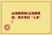 山地藏黄精(山地藏黄精：草药界的“人参”)