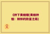《种下黄精赚(黄精种植：别样的致富之路)