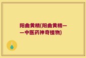 阳曲黄精(阳曲黄精——中医药神奇植物)