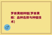 罗田黄精种植(罗田黄精：品种选择与种植技术)