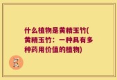 什么植物是黄精玉竹(黄精玉竹：一种具有多种药用价值的植物)