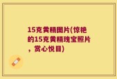15克黄精图片(惊艳的15克黄精瑰宝照片，赏心悦目)