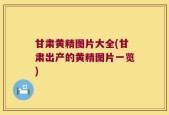 甘肃黄精图片大全(甘肃出产的黄精图片一览)