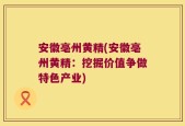 安徽亳州黄精(安徽亳州黄精：挖掘价值争做特色产业)