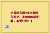 小黄精东影业(小黄精东影业：小黄精异常好看，备受好评！)