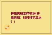 种植黄精怎样喷水(种植黄精：如何科学浇水？)
