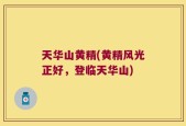 天华山黄精(黄精风光正好，登临天华山)