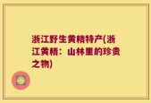 浙江野生黄精特产(浙江黄精：山林里的珍贵之物)
