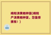绵阳滇黄精种苗(绵阳产滇黄精种苗，您值得拥有！)