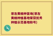 崇左黄精种苗场(崇左黄精种植基地荣获优秀种植示范基地称号)