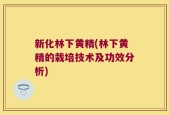 新化林下黄精(林下黄精的栽培技术及功效分析)