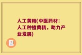 人工黄精(中医药材：人工种植黄精，助力产业发展)