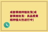 成都黄精种植批发(成都黄精批发：高品质黄精种植火热进行中)