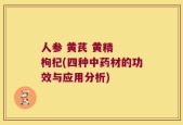 人参 黄芪 黄精  枸杞(四种中药材的功效与应用分析)
