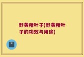 野黄精叶子(野黄精叶子的功效与用途)
