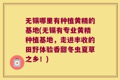 无锡哪里有种植黄精的基地(无锡有专业黄精种植基地,走进丰收的田野体验香甜冬虫夏草之乡!)