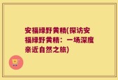 安福绿野黄精(探访安福绿野黄精：一场深度亲近自然之旅)