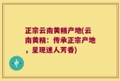 正宗云南黄精产地(云南黄精：传承正宗产地，呈现迷人芳香)