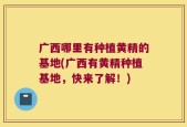 广西哪里有种植黄精的基地(广西有黄精种植基地，快来了解！)