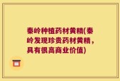 秦岭种植药材黄精(秦岭发现珍贵药材黄精，具有很高商业价值)