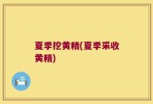 夏季挖黄精(夏季采收黄精)
