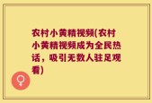 农村小黄精视频(农村小黄精视频成为全民热话，吸引无数人驻足观看)