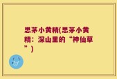 思茅小黄精(思茅小黄精：深山里的“神仙草”)