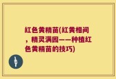红色黄精苗(红黄相间，精灵满园——种植红色黄精苗的技巧)