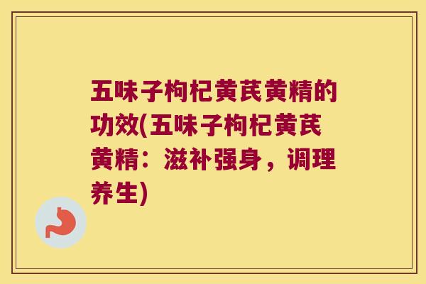 五味子枸杞黄芪黄精的功效(五味子枸杞黄芪黄精：滋补强身，调理养生)