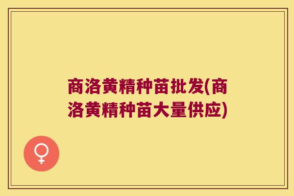 商洛黄精种苗批发(商洛黄精种苗大量供应)