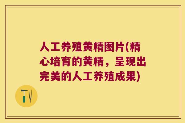 人工养殖黄精图片(精心培育的黄精，呈现出完美的人工养殖成果)