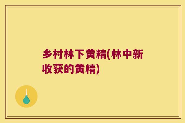 乡村林下黄精(林中新收获的黄精)