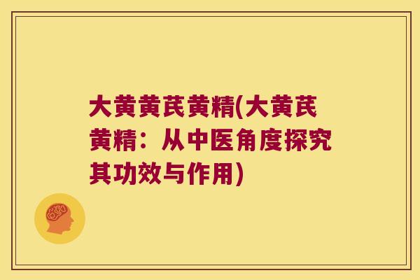 大黄黄芪黄精(大黄芪黄精：从中医角度探究其功效与作用)