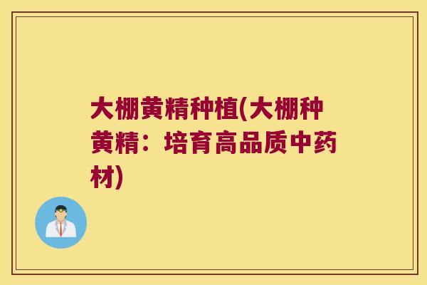 大棚黄精种植(大棚种黄精：培育高品质材)