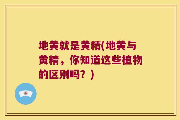 地黄就是黄精(地黄与黄精，你知道这些植物的区别吗？)