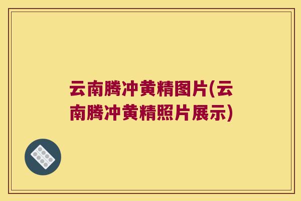 云南腾冲黄精图片(云南腾冲黄精照片展示)