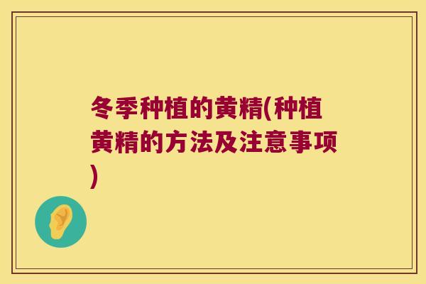 冬季种植的黄精(种植黄精的方法及注意事项)