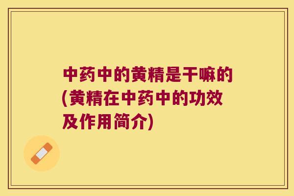 中的黄精是干嘛的(黄精在中的功效及作用简介)