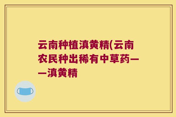 云南种植滇黄精(云南农民种出稀有中草药——滇黄精 云南种植滇黄精(云南农民种出稀有中草药——滇黄精