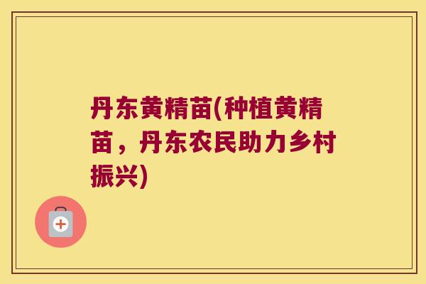 丹东黄精苗(种植黄精苗，丹东农民助力乡村振兴)
