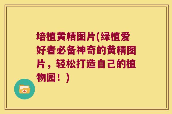 培植黄精图片(绿植爱好者必备神奇的黄精图片，轻松打造自己的植物园！)
