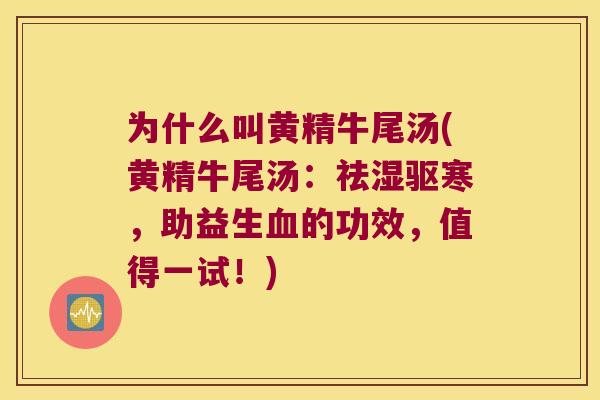为什么叫黄精牛尾汤(黄精牛尾汤：祛湿驱寒，助益生的功效，值得一试！)